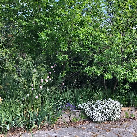 Holiday home Provencale Au Calme Entouree De Verdure, Animaux De Compagnie Acceptes ! *