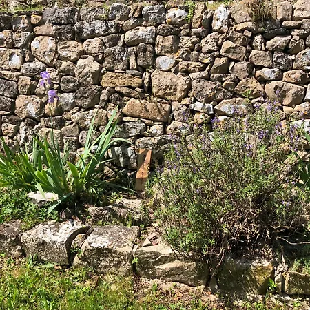 Holiday home Provencale Au Calme Entouree De Verdure, Animaux De Compagnie Acceptes !